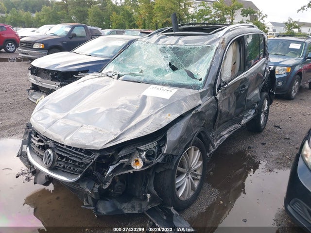 2009 VOLKSWAGEN TIGUAN S/SE/SEL/SE W/LEATHER VIN: WVGAV95N99W523912
