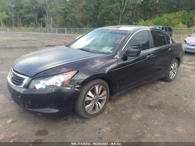 2010 HONDA ACCORD SDN LX VIN: 1HGCP2F35AA163441