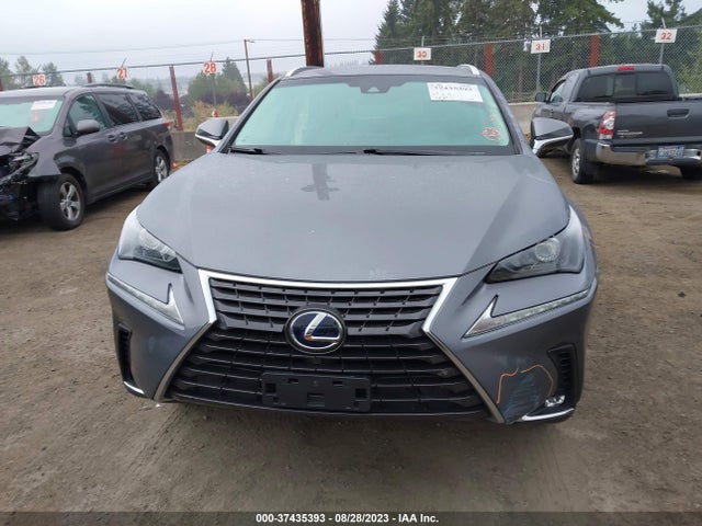 2019 Lexus NX, VIN: JTJBJRBZ7K2097532