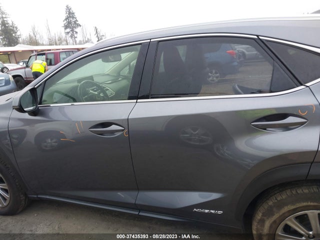 2019 Lexus NX, VIN: JTJBJRBZ7K2097532