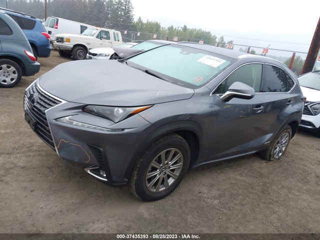 2019 Lexus NX, VIN: JTJBJRBZ7K2097532