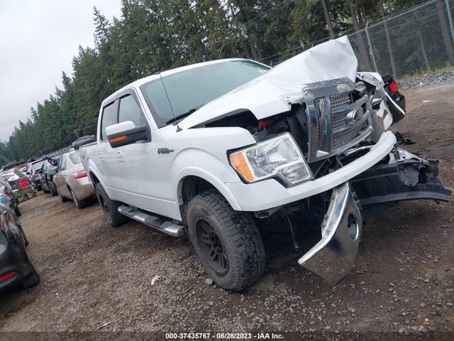2010 FORD F-150 XL/XLT/FX4/LARIAT VIN: 1FTFW1EVXAFB01211