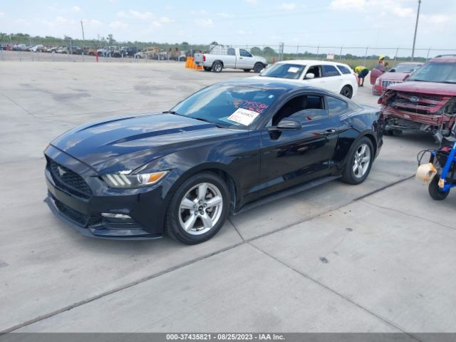 1FA6P8AM8G5255343 Ford Mustang V6