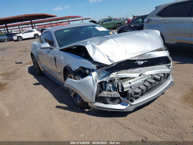 2015 1FA6P8AM8F5370040 main image