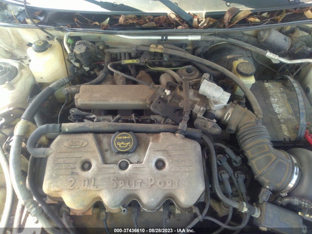 2002 FORD ESCORT FLEET VIN: 3FAFP13P92R181113