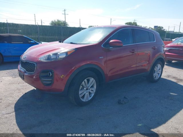 KNDPMCAC1H7080733 KIA Sportage Lx