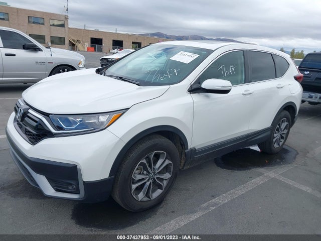2020 HONDA CR-V EX VIN: 5J6RW1H52LA008167