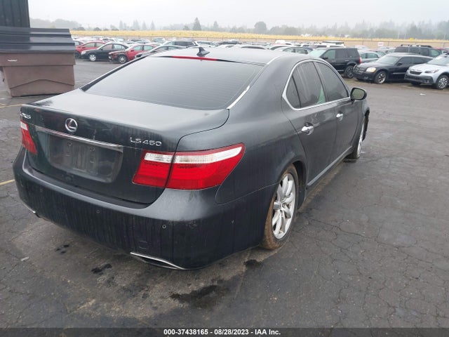 2009 LEXUS LS 460 VIN: JTHBL46F495088259