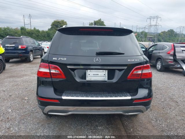 4JGDA0EBXFA485481 Mercedes-Benz M-class Ml 250 Bluetec