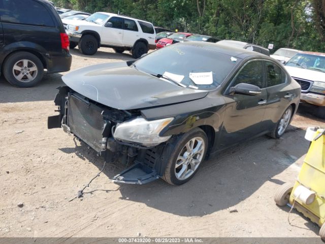 1N4AA5AP7EC485887 Nissan Maxima 3.5 Sv W/premium Pkg