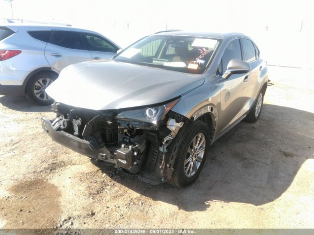 JTJDARBZ4M2187412 Lexus Nx Nx 300