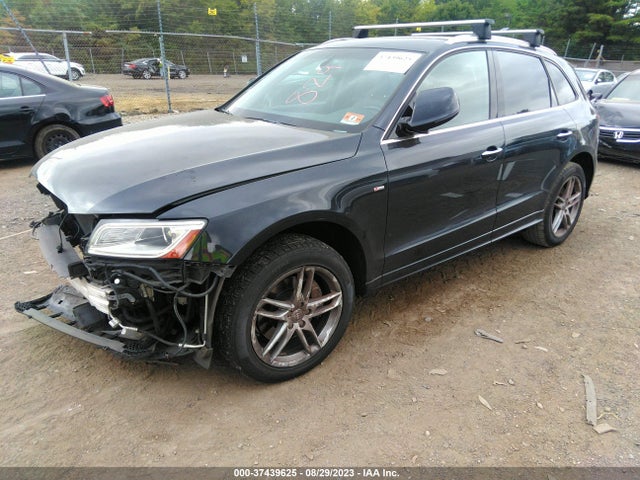 WA1D7AFP8GA018834 Audi Q5 Premium Plus