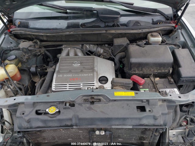 2002 LEXUS RX 300 VIN: JTJGF10U220121876