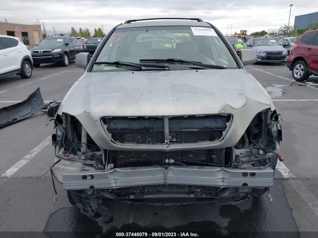 2002 LEXUS RX 300 VIN: JTJGF10U220121876