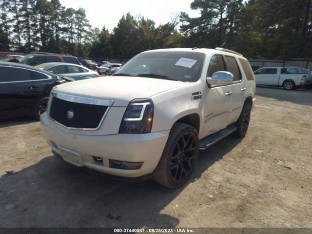 2009 CADILLAC ESCALADE VIN: 1GYFC23269R164060