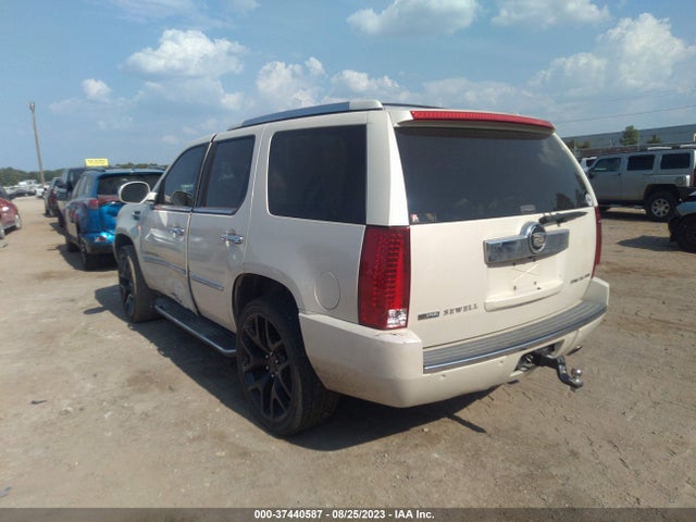 2009 CADILLAC ESCALADE VIN: 1GYFC23269R164060