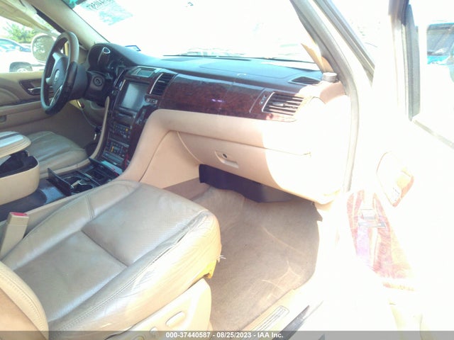 2009 CADILLAC ESCALADE VIN: 1GYFC23269R164060