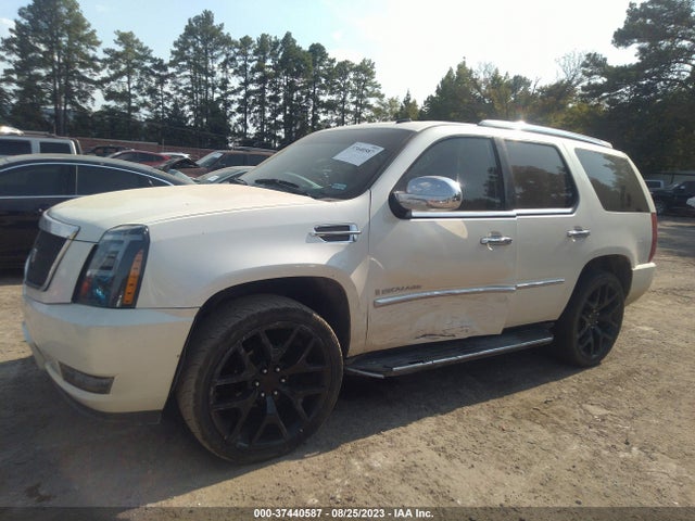 2009 CADILLAC ESCALADE VIN: 1GYFC23269R164060