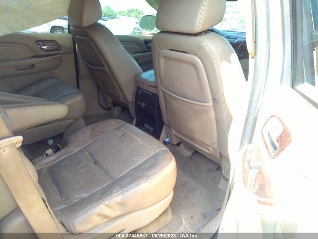 2009 CADILLAC ESCALADE VIN: 1GYFC23269R164060