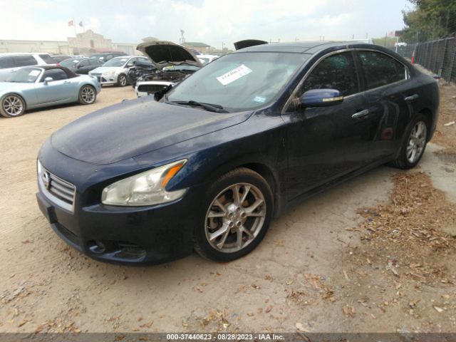 1N4AA5AP3EC495025 Nissan Maxima 3.5 Sv W/premium Pkg