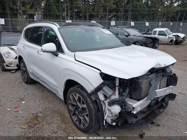 Hyundai Santa Fe Calligraphy 2022 5NMS5DAL1NH449432 Image 14