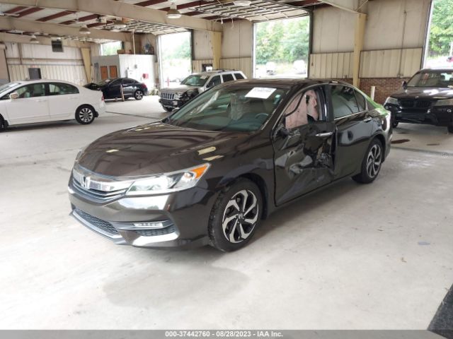 1HGCR2F81GA050004 Honda Accord Sedan Ex-l