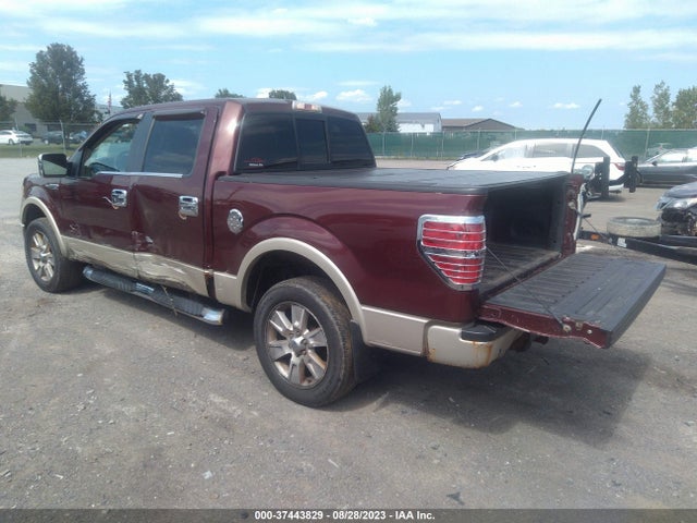 2010 FORD F-150 XL/XLT/FX4/LARIAT VIN: 1FTFW1EV7AKE57641