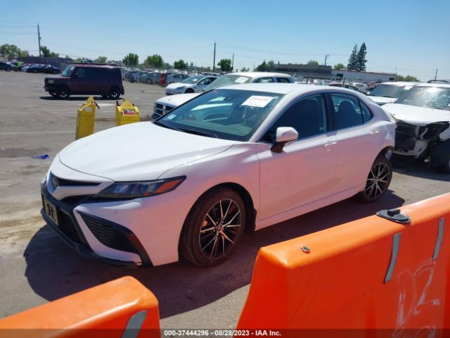4T1G11AK3PU817334 Toyota Camry Se/se Nightshade
