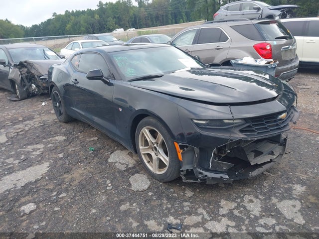 2019 1G1FB1RS4K0151952 main image