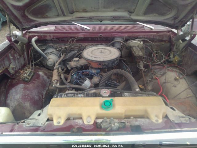 1977 DODGE D100 D14BJ7S223565 Photo 9