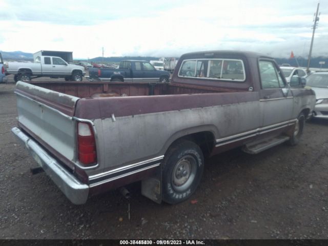 1977 DODGE D100 D14BJ7S223565 Photo 3