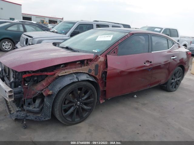 1N4AA6AP5HC362759 Nissan MAXIMA SL