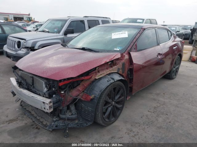1N4AA6AP5HC362759 Nissan MAXIMA SL