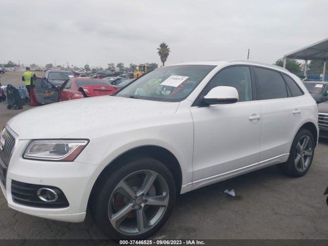 WA1CMAFP6EA049131 Audi Q5 Premium Plus