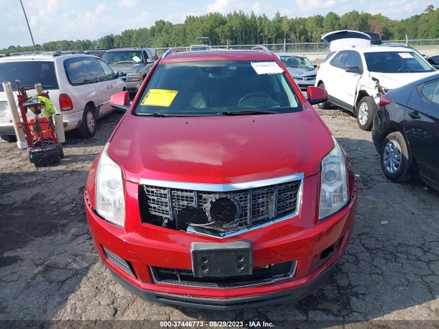 2013 CADILLAC SRX LUXURY COLLECTION VIN: 3GYFNCE3XDS642833