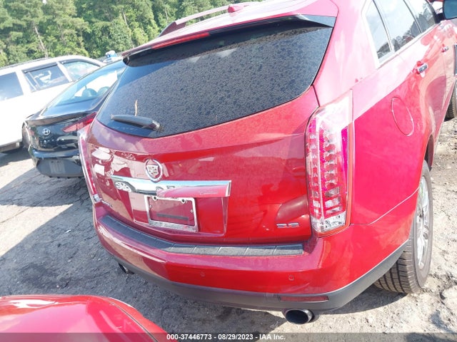 2013 CADILLAC SRX LUXURY COLLECTION VIN: 3GYFNCE3XDS642833