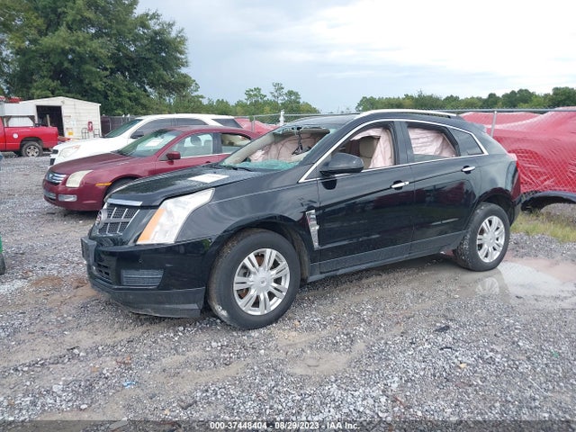 2012 CADILLAC SRX LUXURY COLLECTION VIN: 3GYFNAE37CS634790