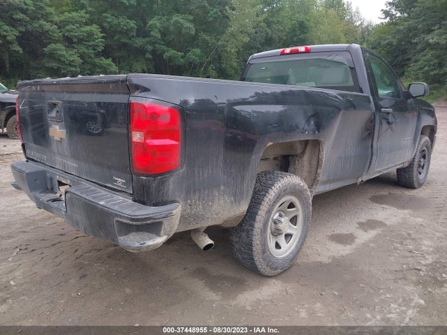 Chevrolet Silverado 1500 Wt 2017 1GCNCNEH8HZ142824 Image 4