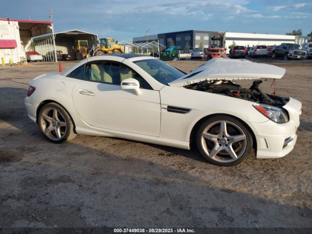 WDDPK4HA8FF096498 Mercedes-Benz Slk-class Slk 250