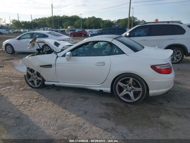 WDDPK4HA8FF096498 Mercedes-Benz Slk-class Slk 250