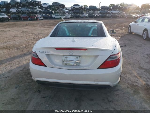 WDDPK4HA8FF096498 Mercedes-Benz Slk-class Slk 250