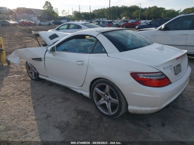 WDDPK4HA8FF096498 Mercedes-Benz Slk-class Slk 250