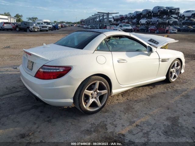 WDDPK4HA8FF096498 Mercedes-Benz Slk-class Slk 250