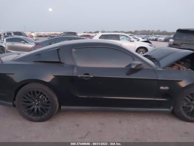 2011 FORD MUSTANG GT VIN: 1ZVBP8CF8B5134194