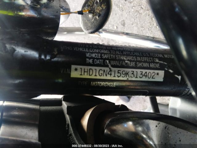 2009 HARLEY-DAVIDSON FXDL 1HD1GN4159K313402 Photo 9