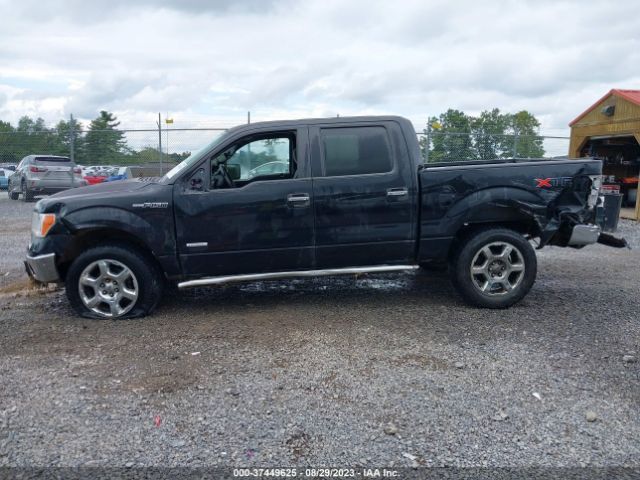 1FTFW1ETXEKD96497 Ford F-150 Xl/xlt/fx4/lariat