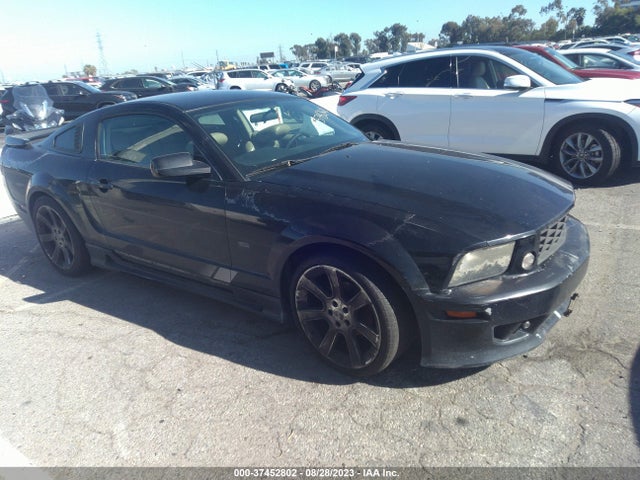 2005 FORD MUSTANG DELUXE/PREMIUM VIN: 1ZVFT80N255180682