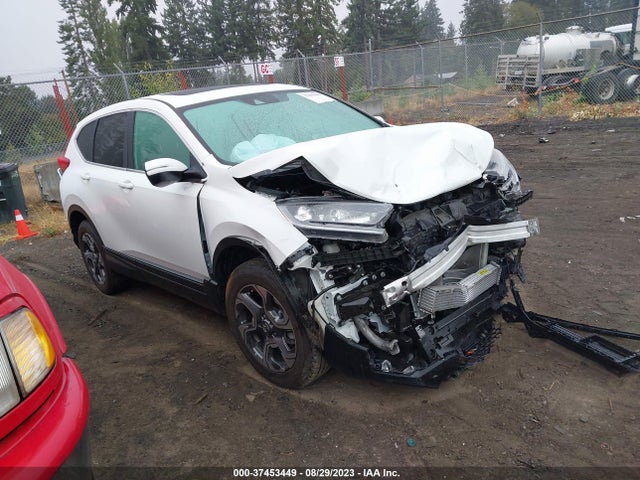 2019 JHLRW2H56KX019554 main image
