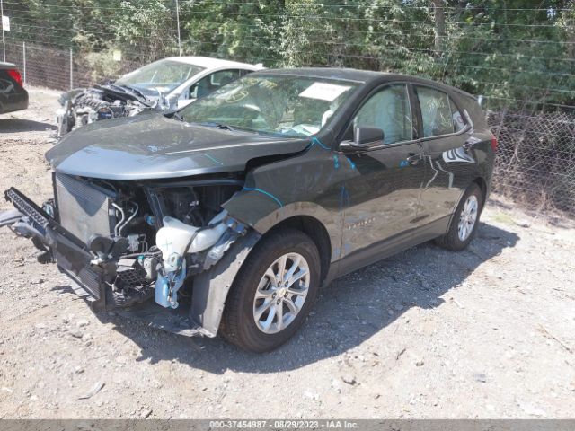 Chevrolet EQUINOX LS 2018 3GNAXHEV8JL389615 Image 2