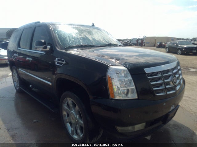 2010 CADILLAC ESCALADE PREMIUM VIN: 1GYUCCEF7AR172640